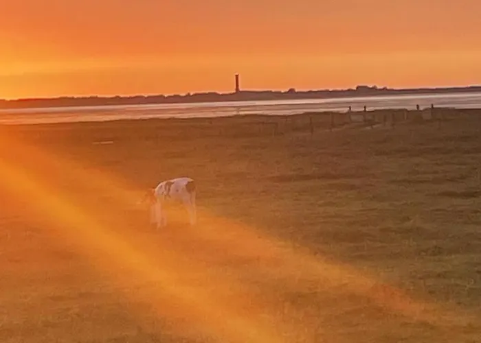 Liesel 度假居 多纳莫塞尔